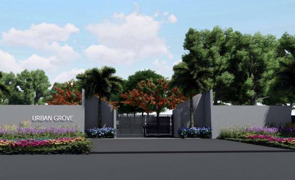 Elevation urban-grove Elevation