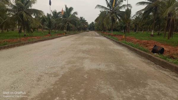  beach-aero-city Others