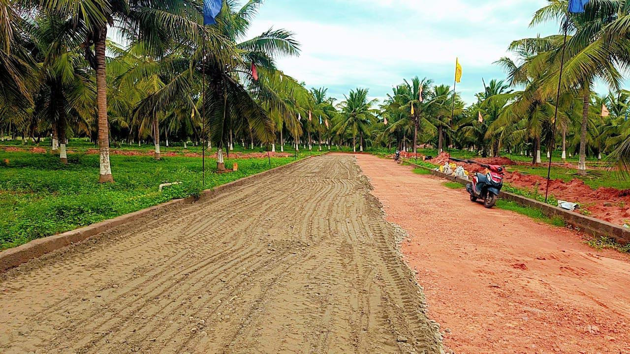 beach aero city Plot