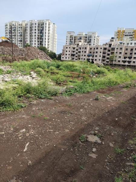  springshire B1 Construction Status Nov-24