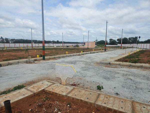  sai-pearl-city Elevation