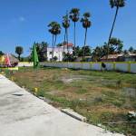 Plot  sai-prince-avenue Plot