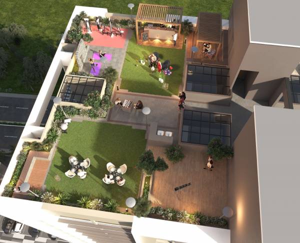  basil-shivraj- Others