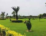  aarambh-valley Landscape Garden and Tree Planting