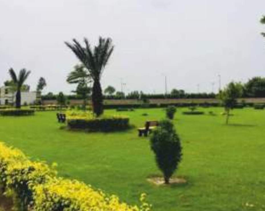  aarambh valley Landscape Garden and Tree Planting