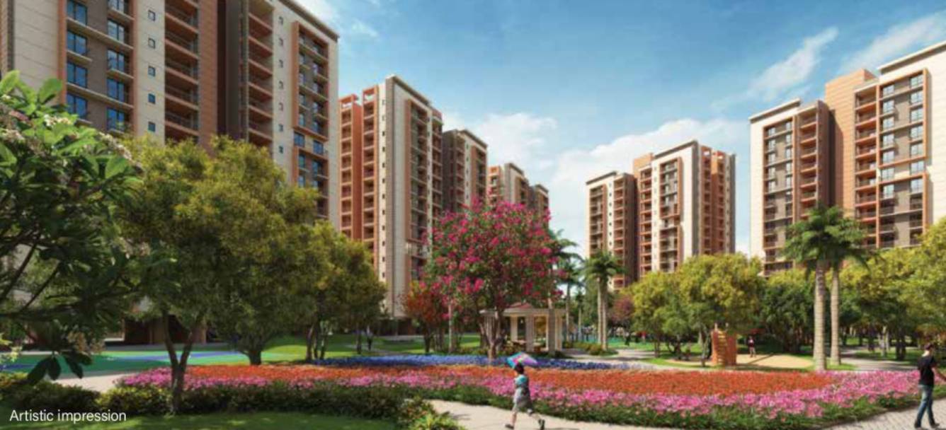  amarah phase 4 Elevation