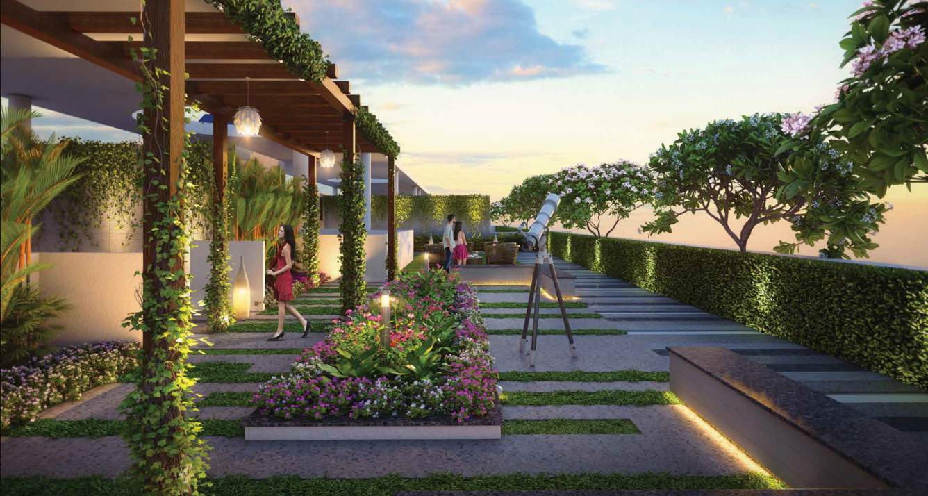 aston ii Terrace Garden