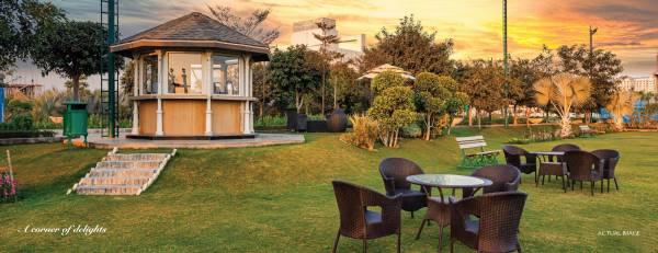  bignonia-towers Others