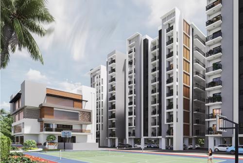 Basketball Court harmony Basketball Court