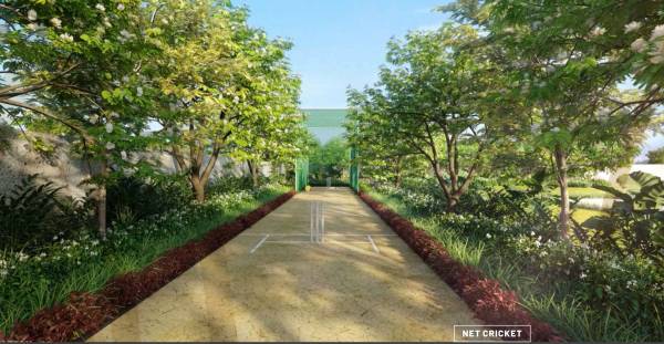  m-soul-strings-wing-b Cricket Pitch