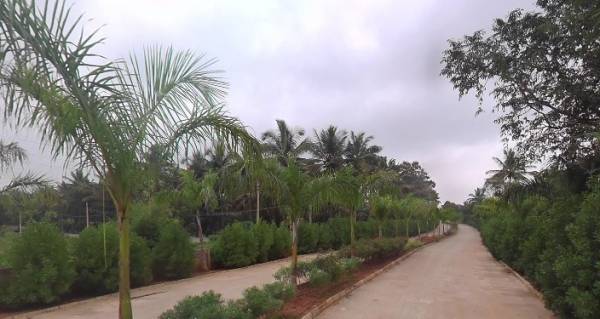 Internal Roads & Footpaths billore Internal Roads & Footpaths