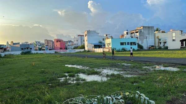 Elevation venus-park Elevation