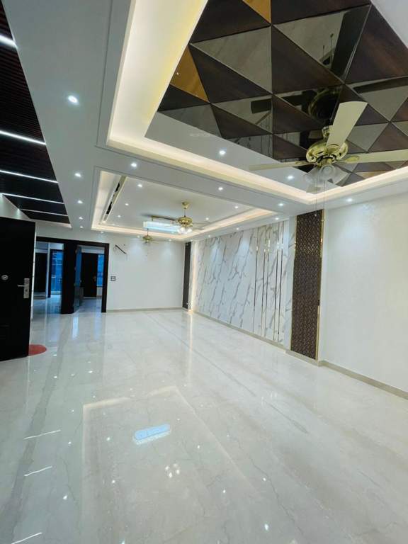  nsd luxury floor Living Area