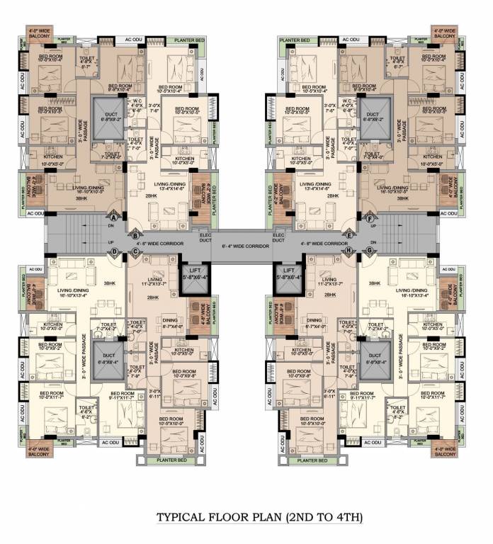  orchard Orchard Cluster Plan