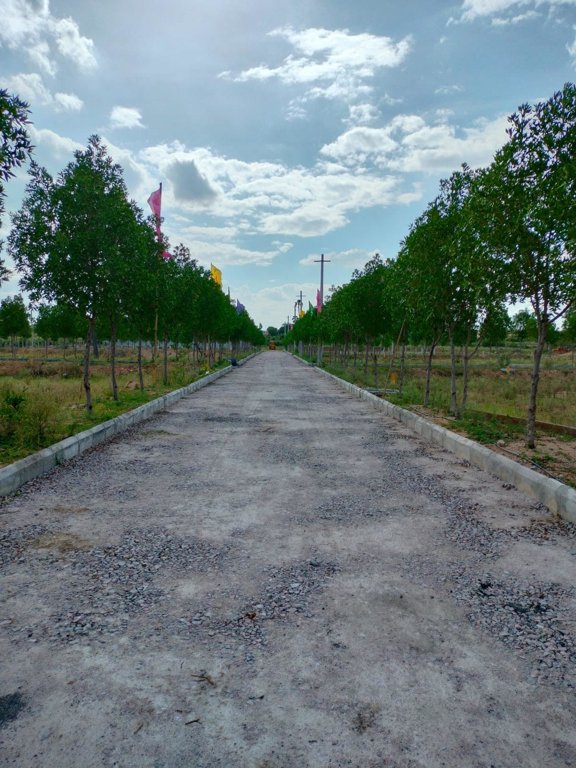  green avenue Internal Roads & Footpaths