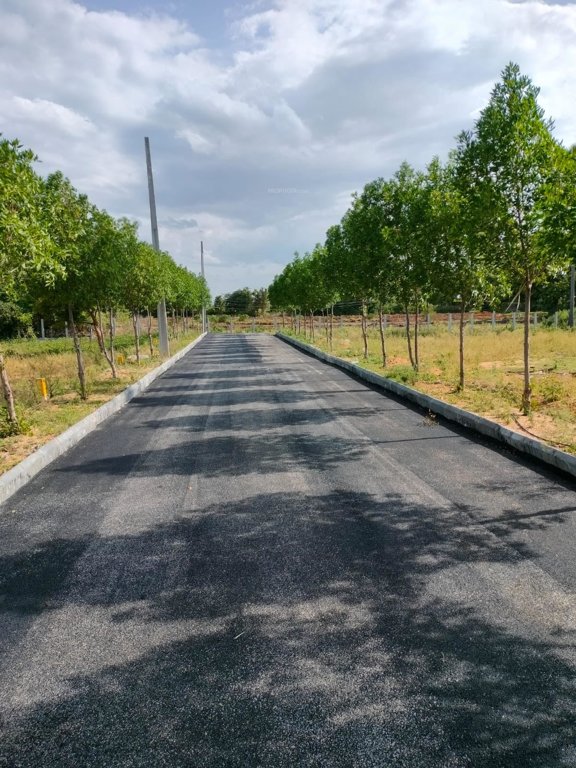  green avenue Internal Roads & Footpaths
