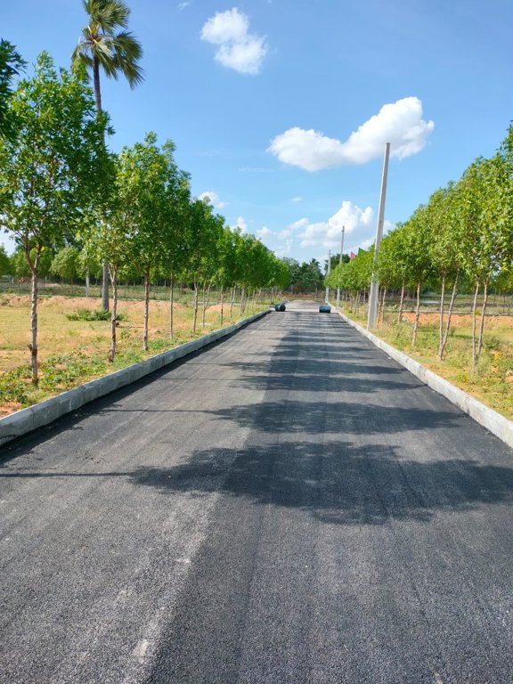  green avenue Internal Roads & Footpaths