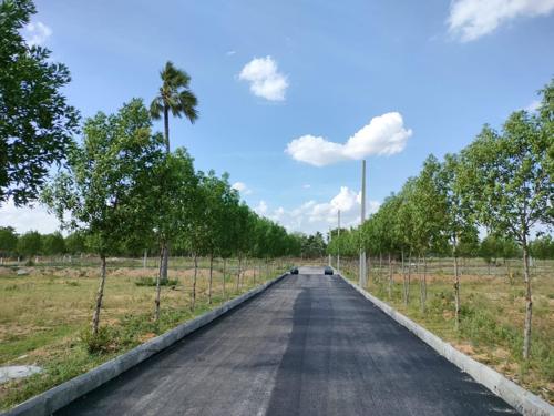 green-avenue Internal Roads & Footpaths