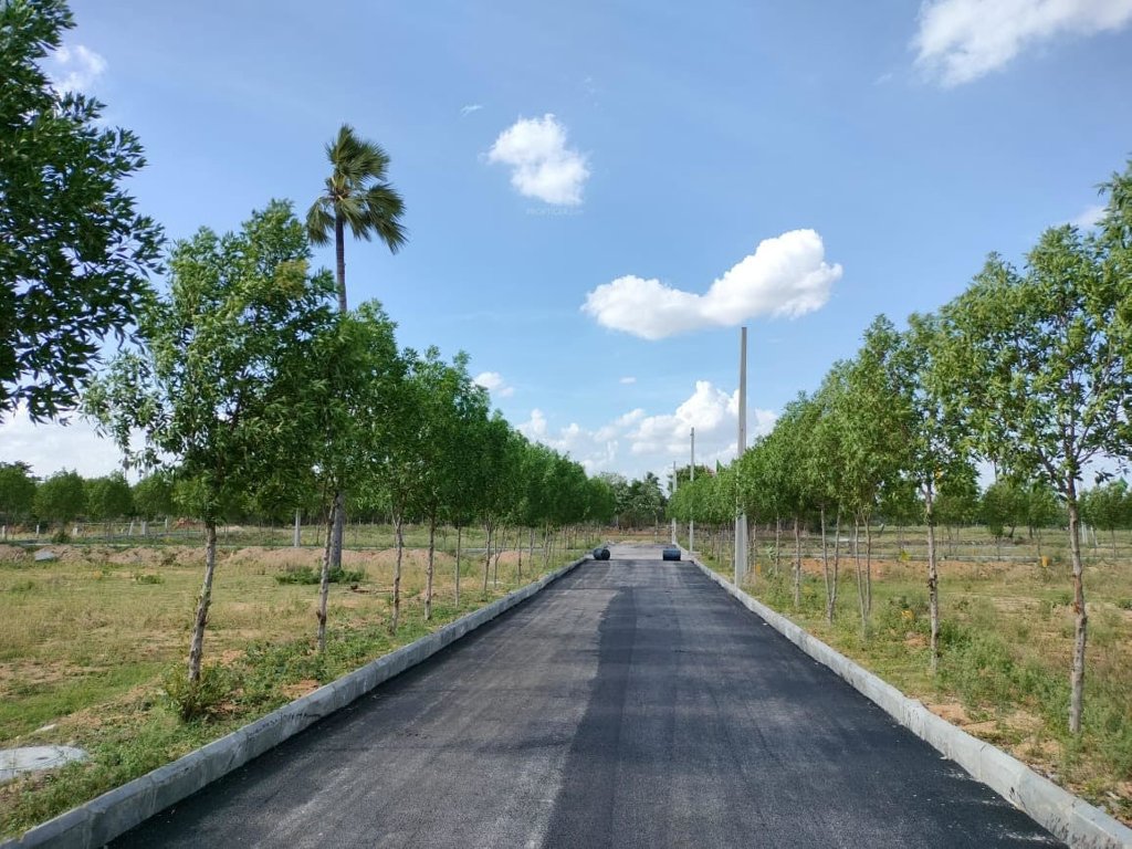  green avenue Internal Roads & Footpaths