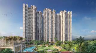 Project Image Project Image