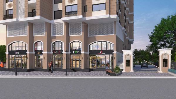  premium-vista Others