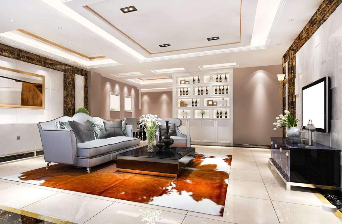  shubham lavish Living Area