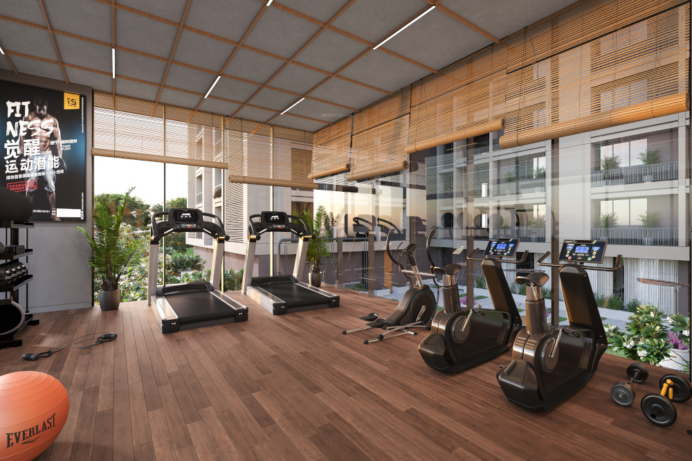 green abalone Gymnasium