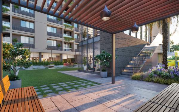  green-abalone Others