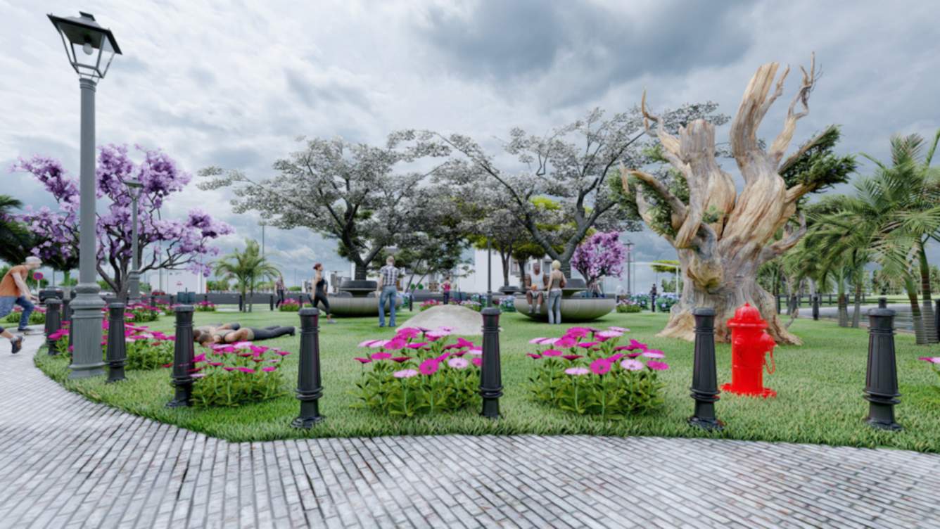  home palm drive Landscape Garden and Tree Planting