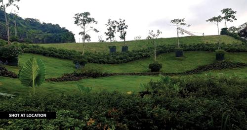  kanakia-silicon-valley Landscape Garden and Tree Planting