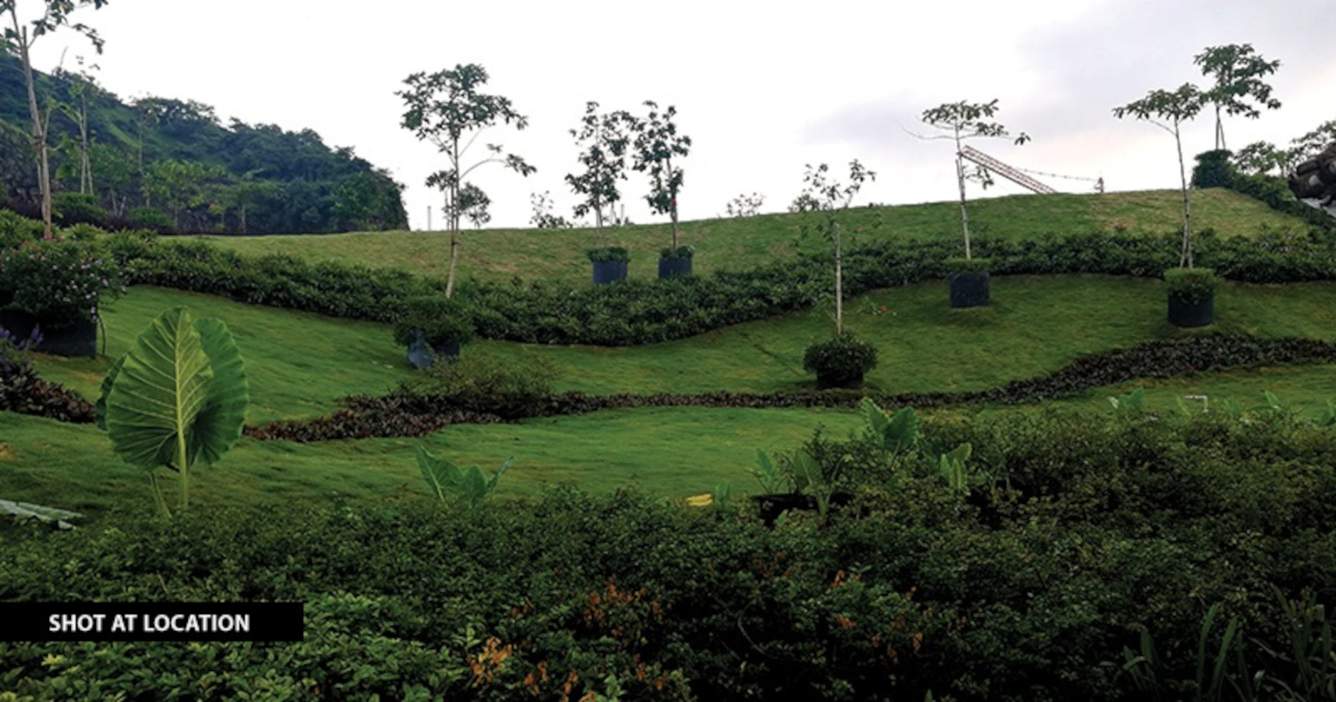  kanakia silicon valley Landscape Garden and Tree Planting