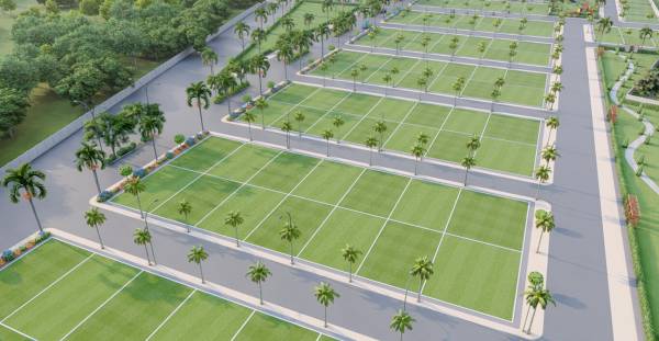 Elevation olive-county Elevation