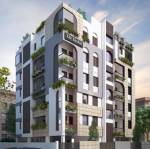 Elevation the-orchid Elevation