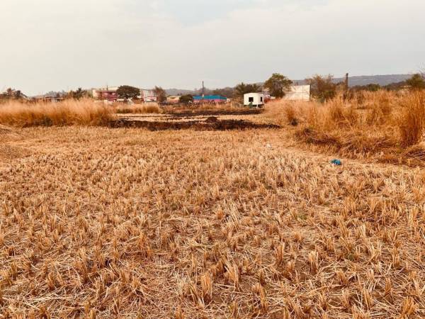 Elevation plots-in-ranjanpada Elevation