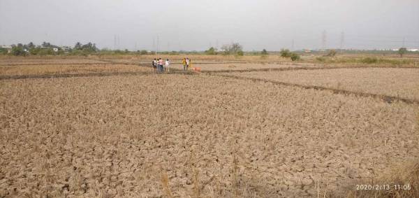  plots-in-ranjanpada Plot