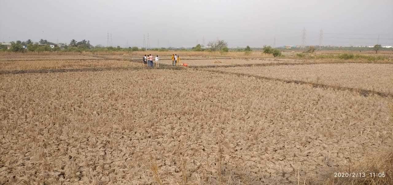  plots in ranjanpada Plot