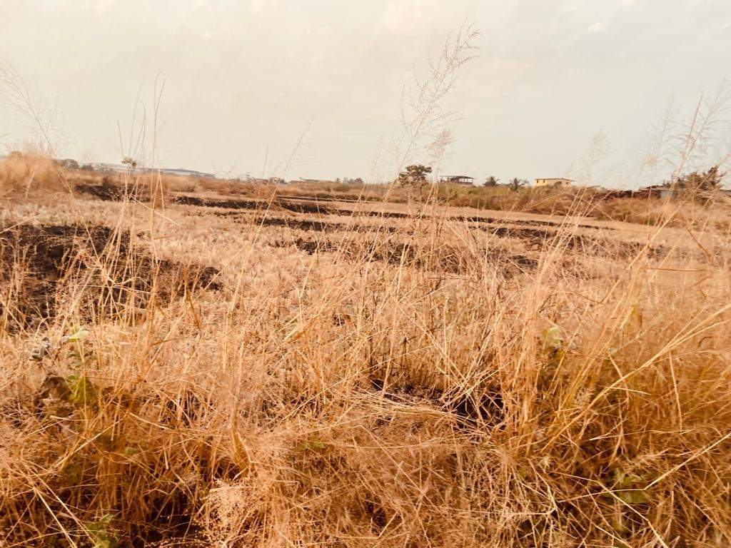 plots in ranjanpada Plot