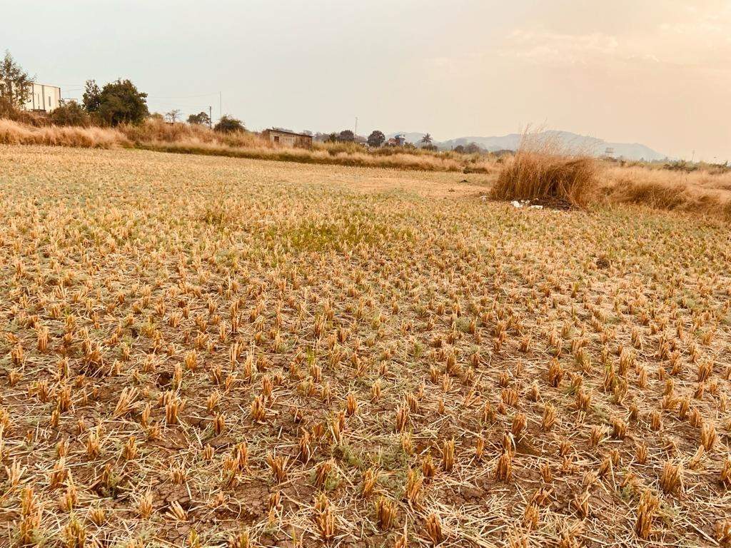 plots in ranjanpada Plot