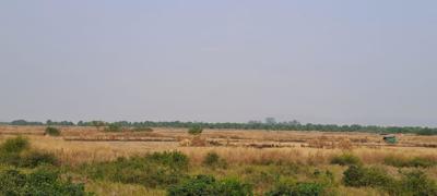 Plots In Belondekhar