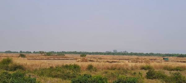  plots-in-belondekhar Elevation