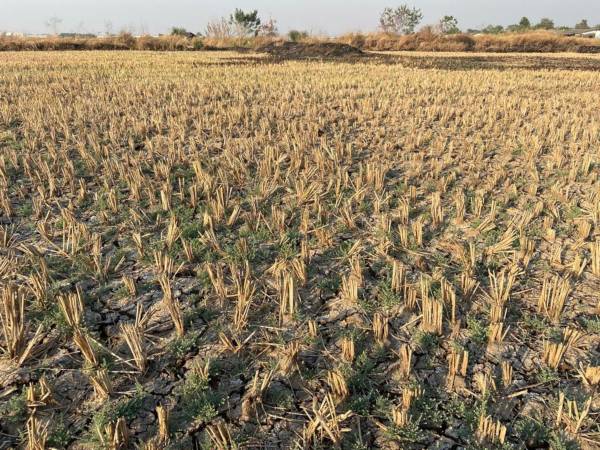  plots-in-belondekhar Plot