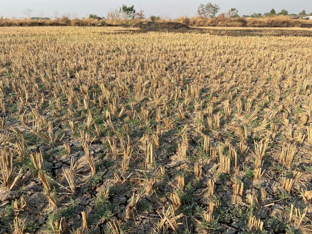  plots in belondekhar Plot