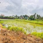  plots-in-chirle Plot