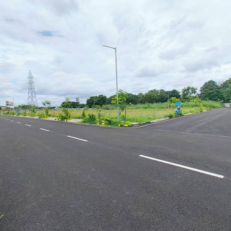  the park origin Plot