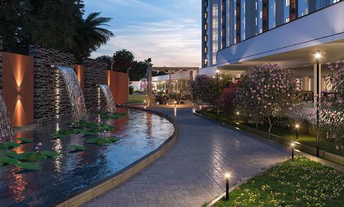  euphoria-in-the-east Others