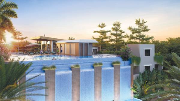  silver-galaxy Others