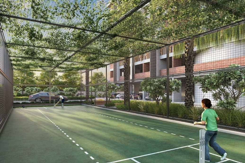  bel air Cricket Pitch