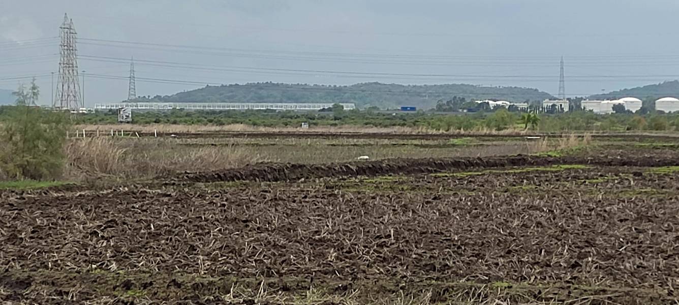  plots in vindhane Plot