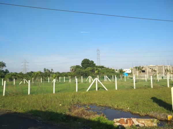  southern-meadwos Plot