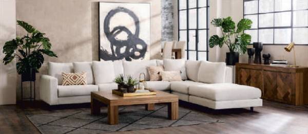  monte-verde Living Area